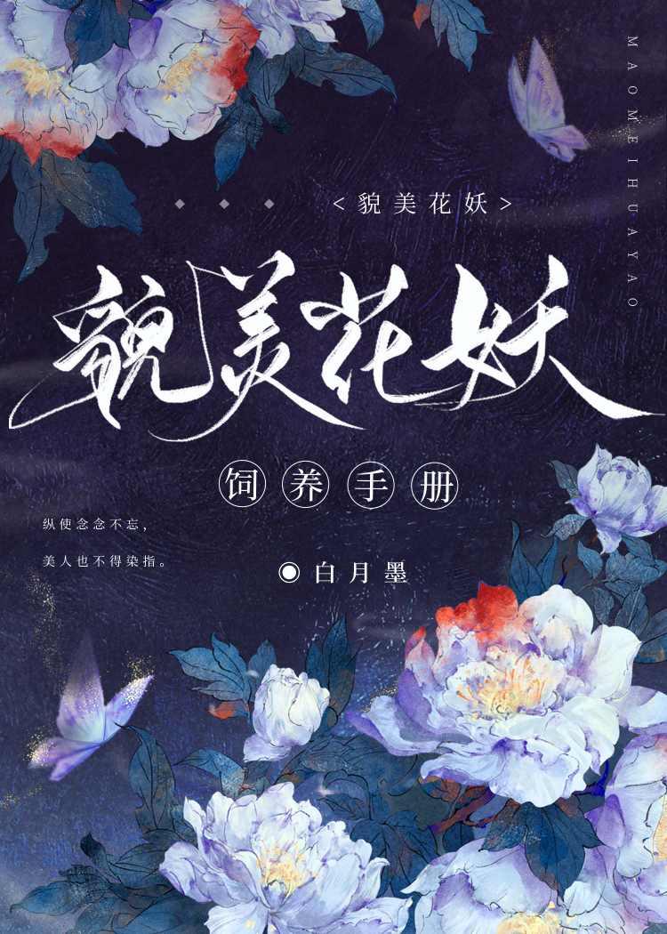 美人惊鹊晋江