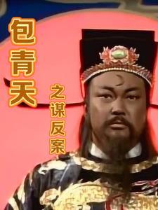 包青天案例