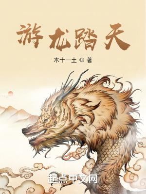 电视连续剧游龙天下