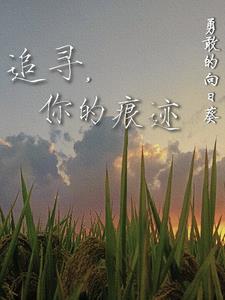 作文追寻你的足迹600字