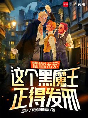 霍格沃兹的黑魔王教授