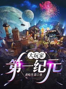 大玩家剧