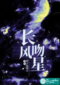 吉利星越长风