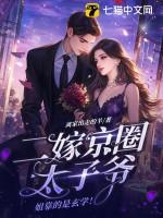 二嫁太子妃全文免费
