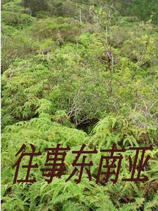 去缅北犯法吗