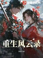 重生之风云
