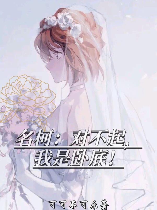 对不起我是卧底