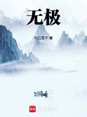 无极ds900x