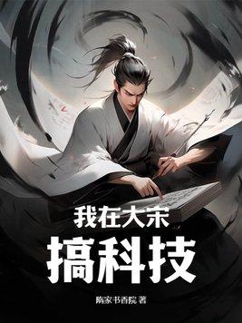 我在大宋搞山寨免费阅读