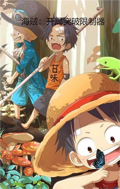 海贼 开局