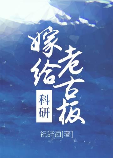 嫁给科研老古板by祝辞酒晋江
