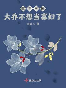 重生大乔二乔