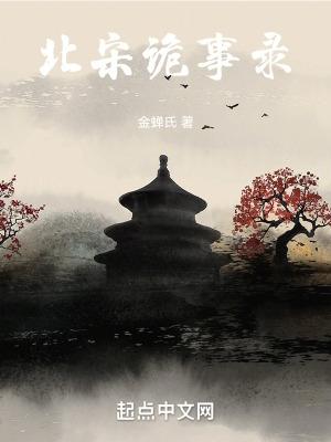 大宋诡闻录