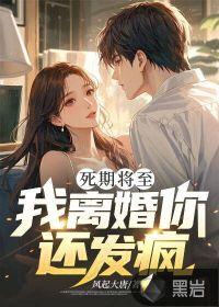 我离婚你还发疯