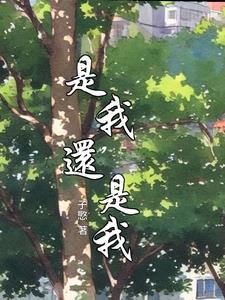是我的还是我的