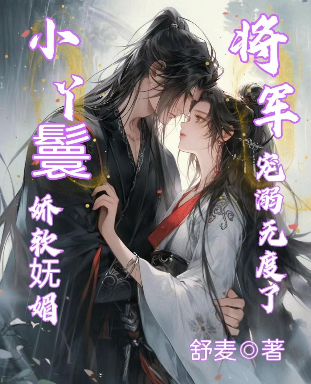 将军和小丫鬟
