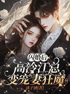 闪婚甜妻高冷老公