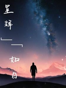 日月星辉之上