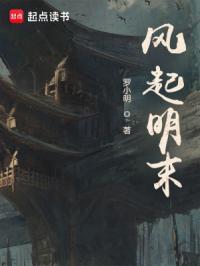 风起明末篱笆好文学
