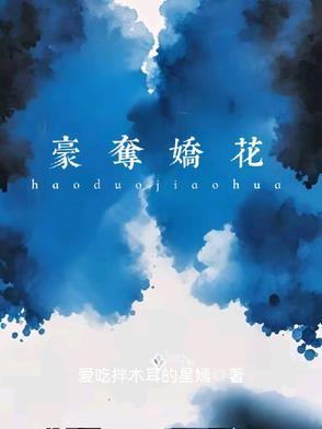 豪夺讲的是什么