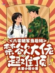 随军的年代文