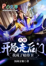 开局大唐做侍卫