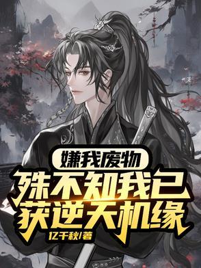 混沌灵根的