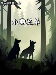 狗哥传奇解说