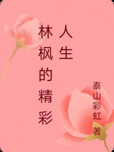林枫主人公