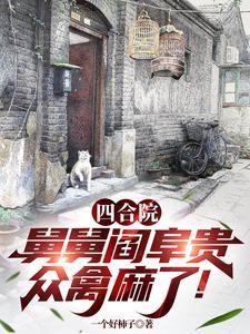 四合院我阎解成从轧钢厂掘起