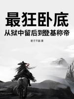 最牛卧底