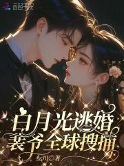 裴殊白月光