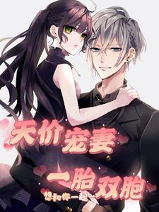 一胎2宝天价小娇妻