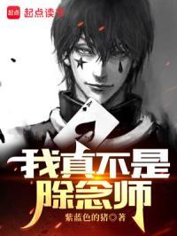 猎人我真不是除念师TXT