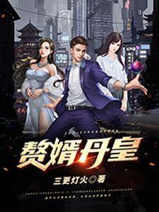 赘婿丹神