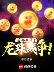 圣杯战争龙珠战争无错