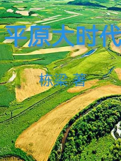 大平原txt