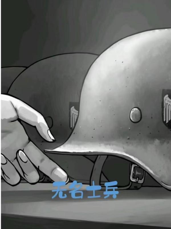 无名士兵的灵魂有啥用
