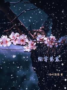 综穿紫宸清叶简简