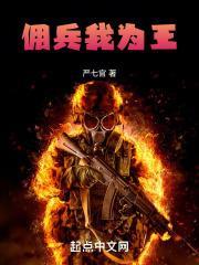 佣兵我为王笔趣阁无弹窗无删减