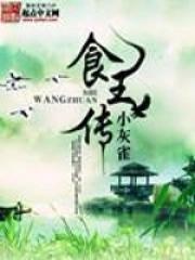 食王传奇电视剧盘