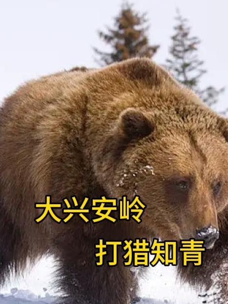 大兴安岭打猎知青无弹窗