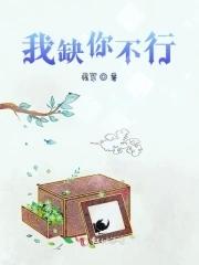 我缺你什么意思