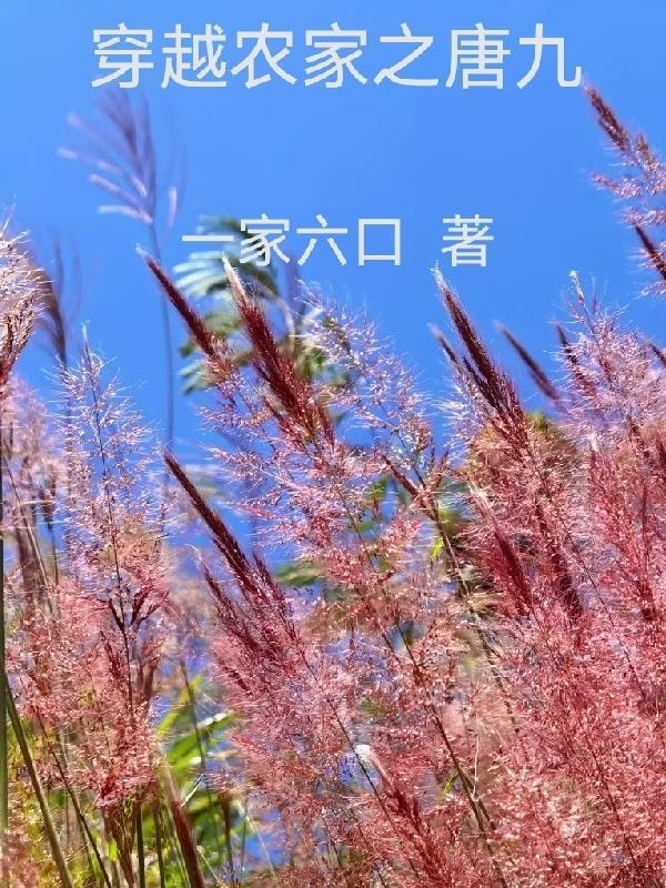 穿越之农家有女