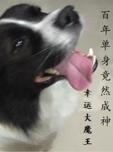 百年单身竟然成神百度