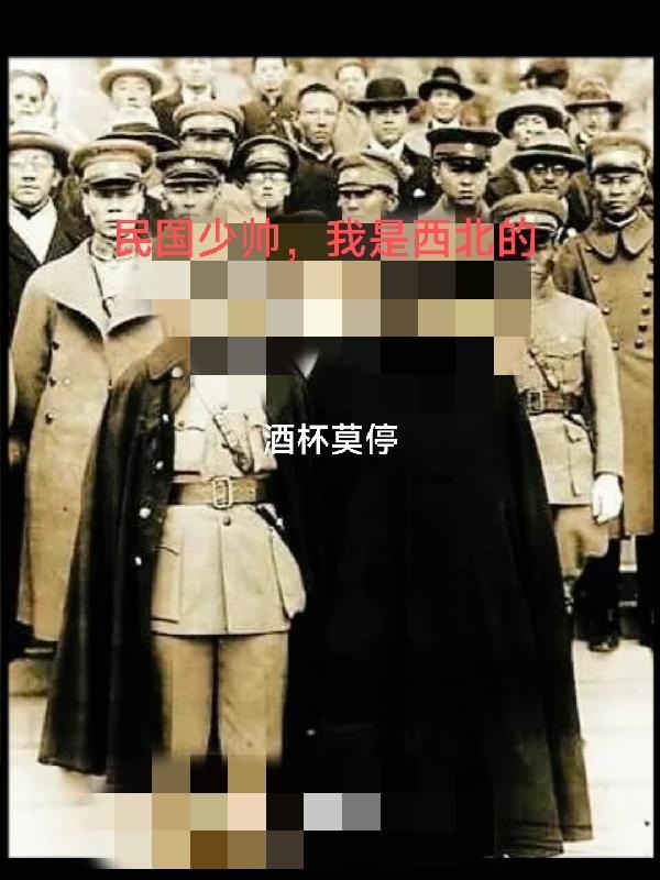 民国少帅全文阅读