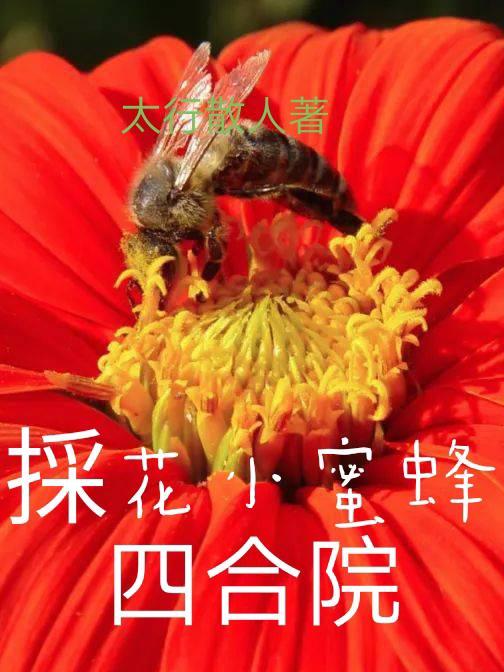 小蜜蜂采花蜜画画图片