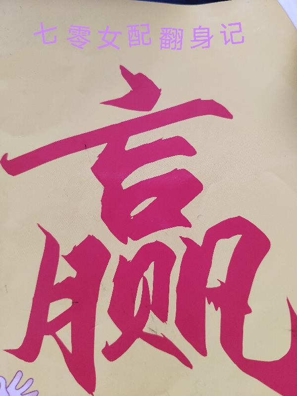 七零女配翻身记列表