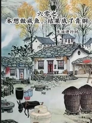 六零之小咸鱼