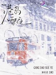 港岛雪夜45章